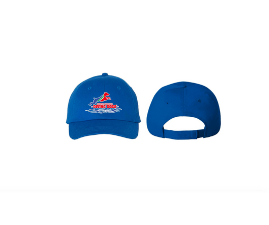 NADD Logo Cap